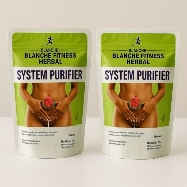 System purifier